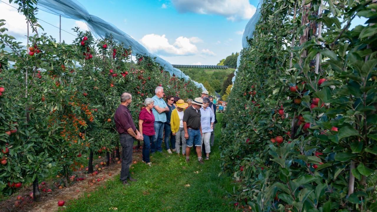 Vakantie Oord Zonnehoeve Valkenburg aan de Geul Exterior foto